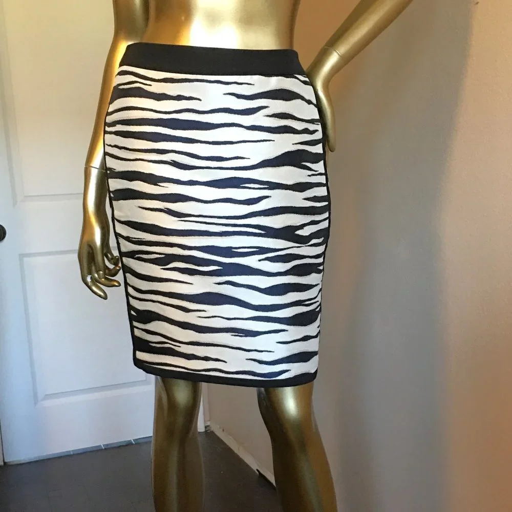 ANN TAYLOR PETITE 🦓 Zebra Print Skirt 🦓